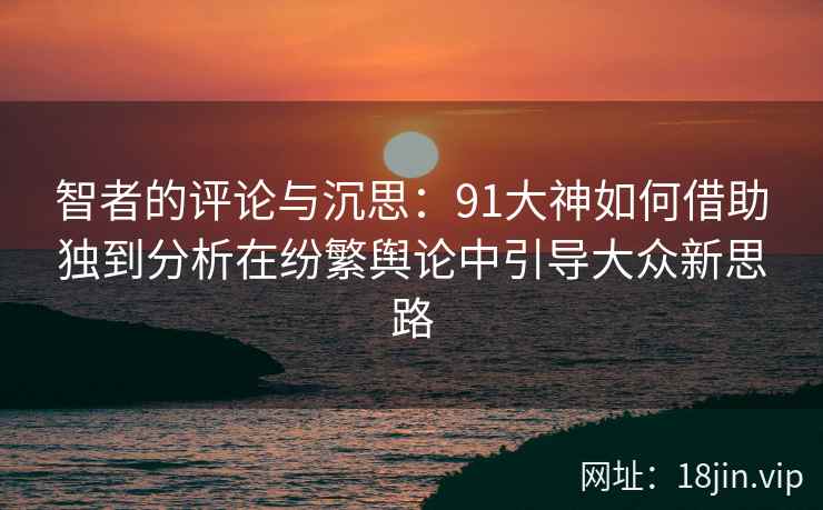 智者的评论与沉思：91大神如何借助独到分析在纷繁舆论中引导大众新思路